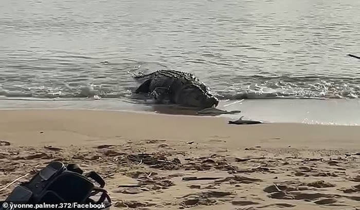 ʿŮɳ̲ϵ2С û뵽ȻﱻԵ