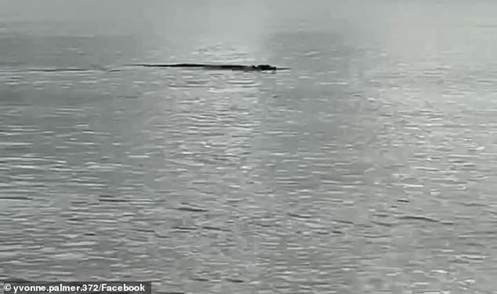 ʿŮɳ̲ϵ2С û뵽ȻﱻԵ