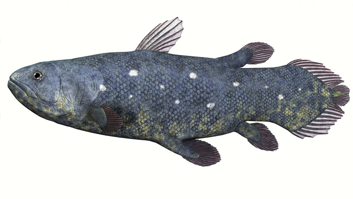 ���ʯ��ìβ�����ڲ���62���ڹ�ȥ1000����Ľ�������