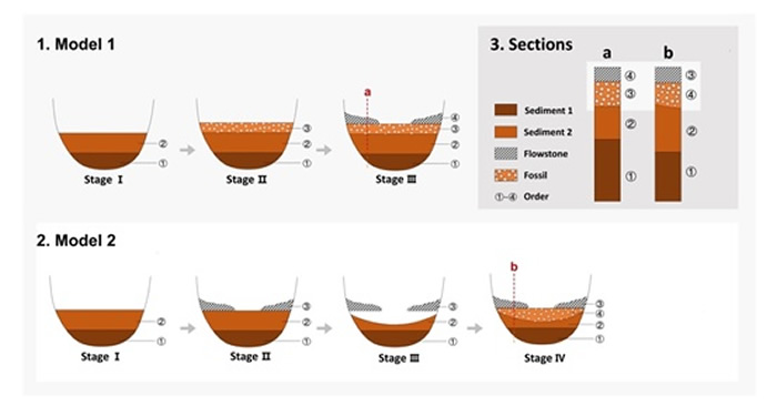 中国南方洞穴遗址地层(化石)堆积模式,1. Model 1-以前研究应用的“理想型”堆积模式;2. Model 2-本研究证明的“假覆盖”堆积模式;3. 不同堆