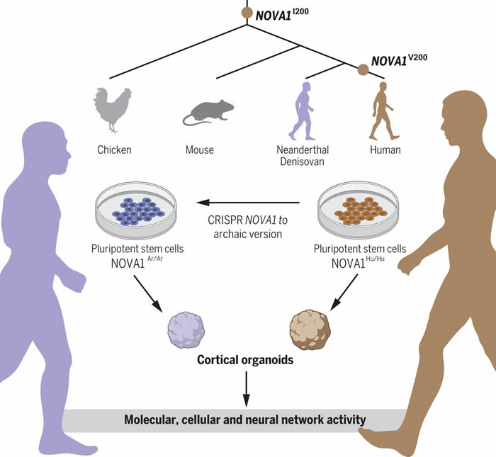 �о���Ա����С���������� ���������������ס����ᰲ�����˺͵��������˵Ļ������