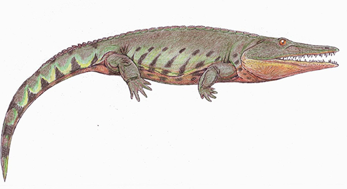 �������ิԭͼ��ͼƬ����ά���ٿƣ�