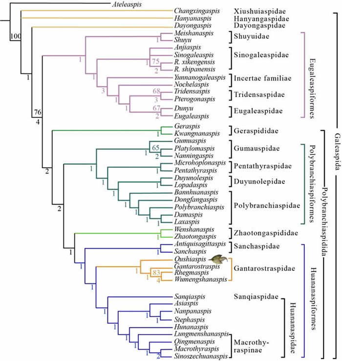 Ǹϵͳϵϵͳࣨ־ṩ