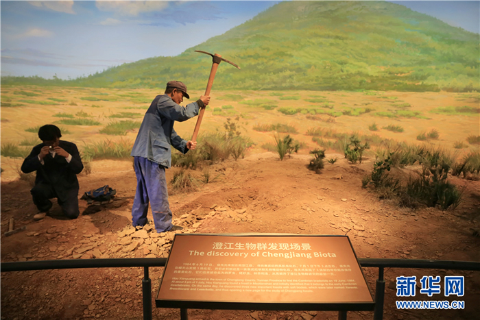 侯先光、郭进师徒谱写科研“石头记”:守护5亿年前化石群36载