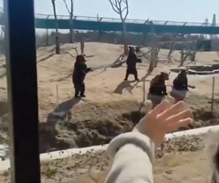 �����ܿ�Ұ������԰�ĺ������οʹ��к�