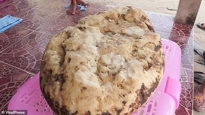 ̩��������Ů��̨����ں�̲ɢ��������ζ��ʯͷ ԭ���Ǽ�ֵ��쳵�������