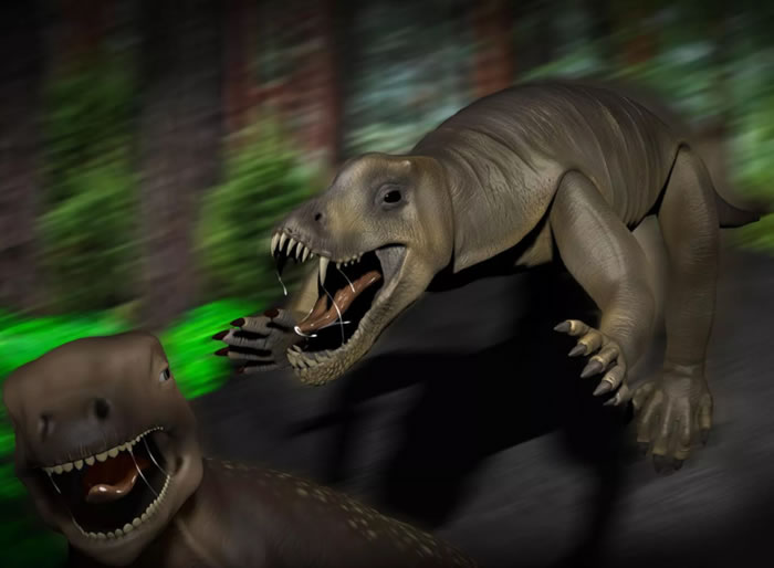 ������ʳ���Ʋ������ж��ﰲ��ŷ�޺ܿ������׺ݶ���Ч�ġ������ߡ�