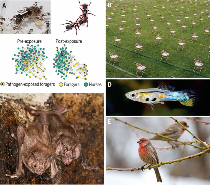 ȺеĽ롱ǴȻԴȾķӦ