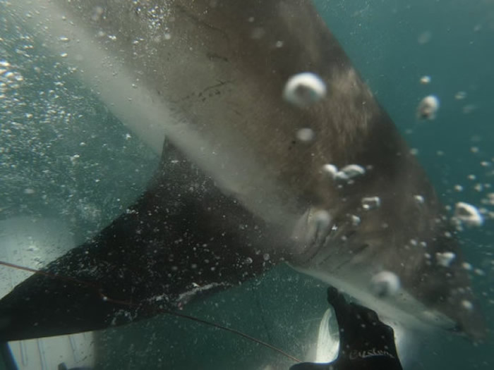 �������������Ǳˮ����ǹ�Եõ������㾹����β������ȥ