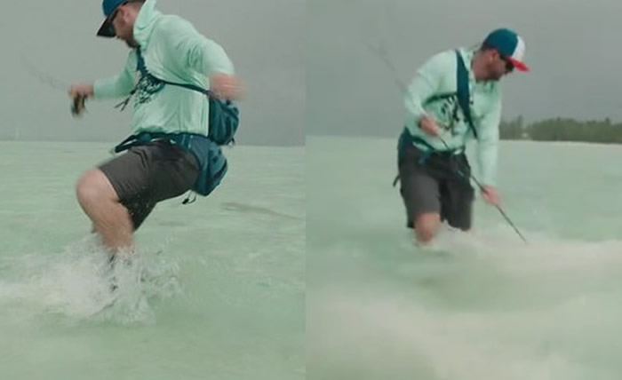 澳洲男子站在海边钓鱼 鲨鱼突然冲到脚边发动攻击