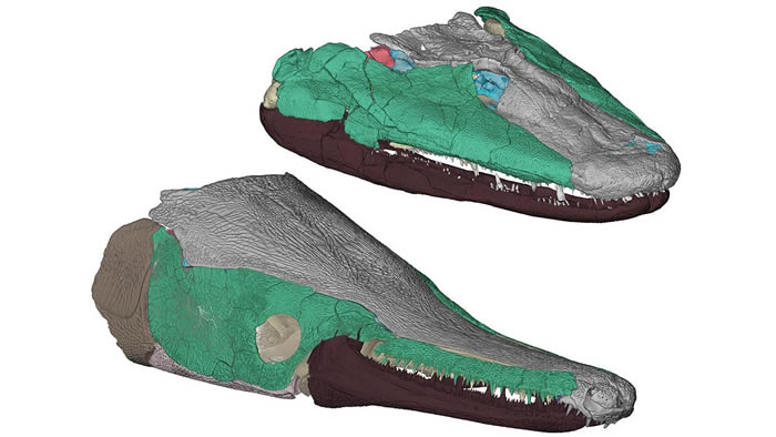 ���о�����������Ʒ�������������ڽ�ʳʱ����ҧ������ ���ִ�ȸ����ǳ�����