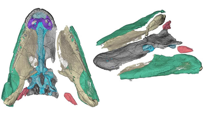 ���о�����������Ʒ�������������ڽ�ʳʱ����ҧ������ ���ִ�ȸ����ǳ�����