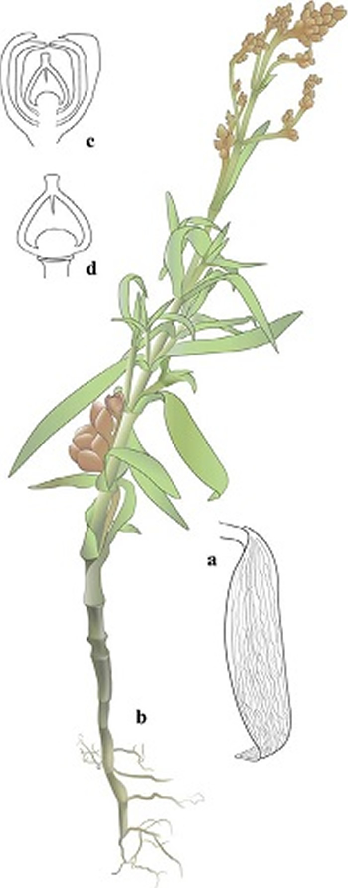 ز㷢ĿǰĵĵҶֲﻯʯ----л