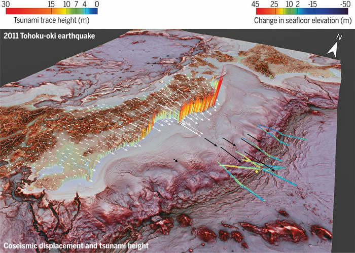 对2011年3月日本东北海岸9级地震的10年研究回顾