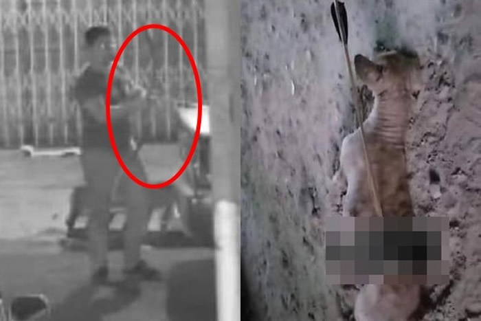 ��������������ͣ�����޹��ó����������������˹�