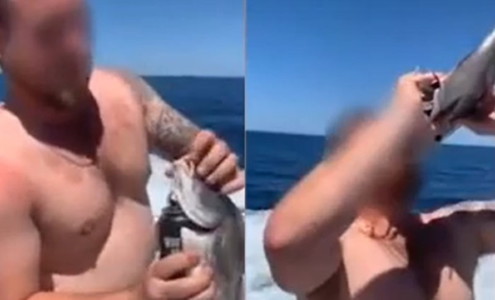 �����̬���ӽ�һ����ʿ��������Ķ����� Ȼ�����������ڳ���