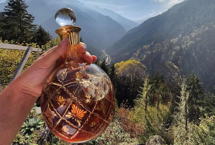 䡰ۡƼ˹¼Ϊȫ ÿм5409Ԫ