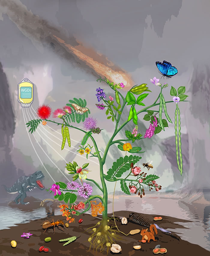 չʾоܽͼʹ˲ֵĶֵĵĻʵҶƵϵͳϵĹ֦辣ֱƵǿƣµչʾ˸ʶ