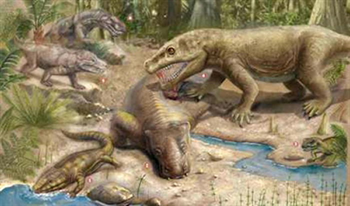 二叠纪长着犬牙厉齿的丽齿兽咬杀吞食大型植食兽足类,然而,两者都在二叠纪末大灭绝中灭亡。(郭肖聪)