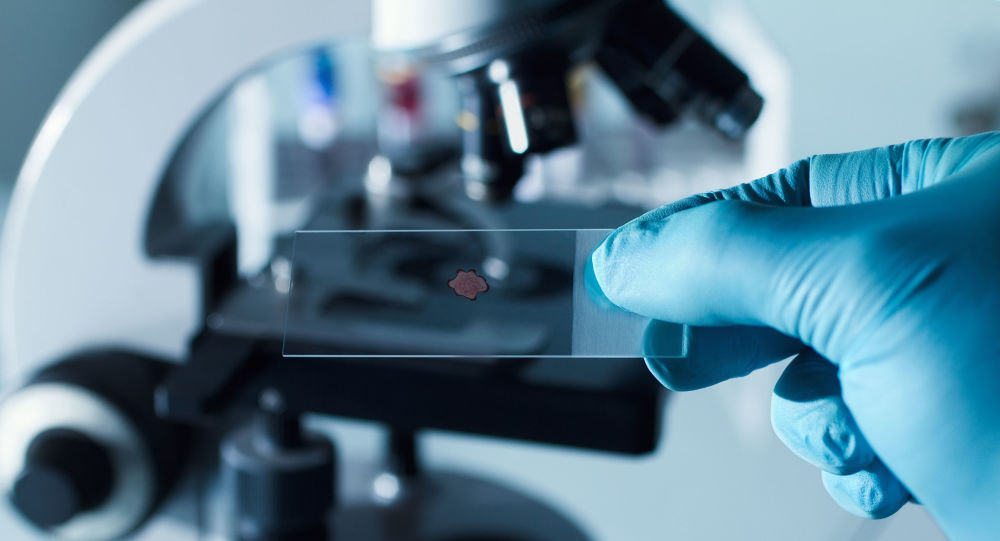 俄罗斯学者开始研究和评估绣线菊属植物干提取物的抗肿瘤活性 为新抗癌药物奠定基础