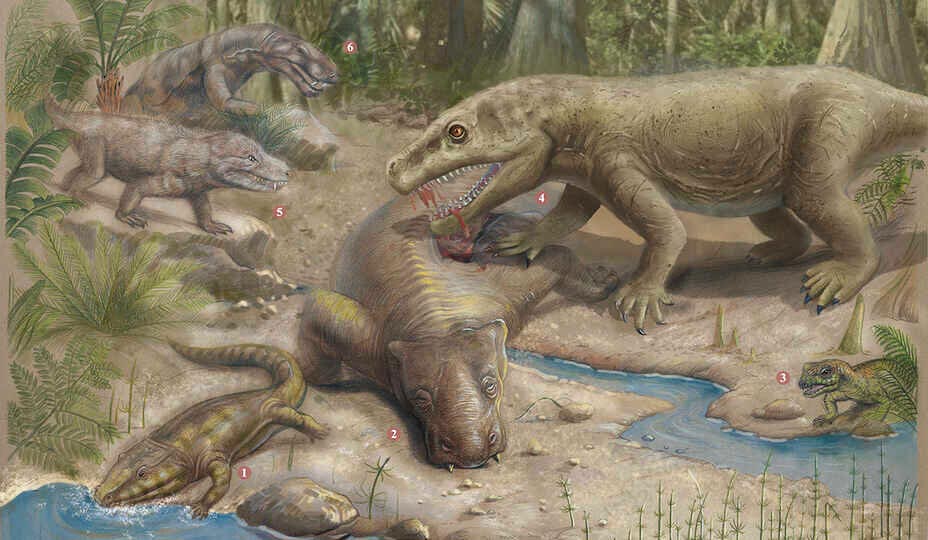 2.52����ǰ�Ķ�����ĩ�ڴ�����¼���½���ϵ���������λָ��ģ�