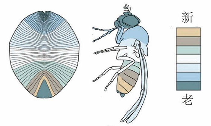 ҸѷʽĶԱȣDunn et al., 2016