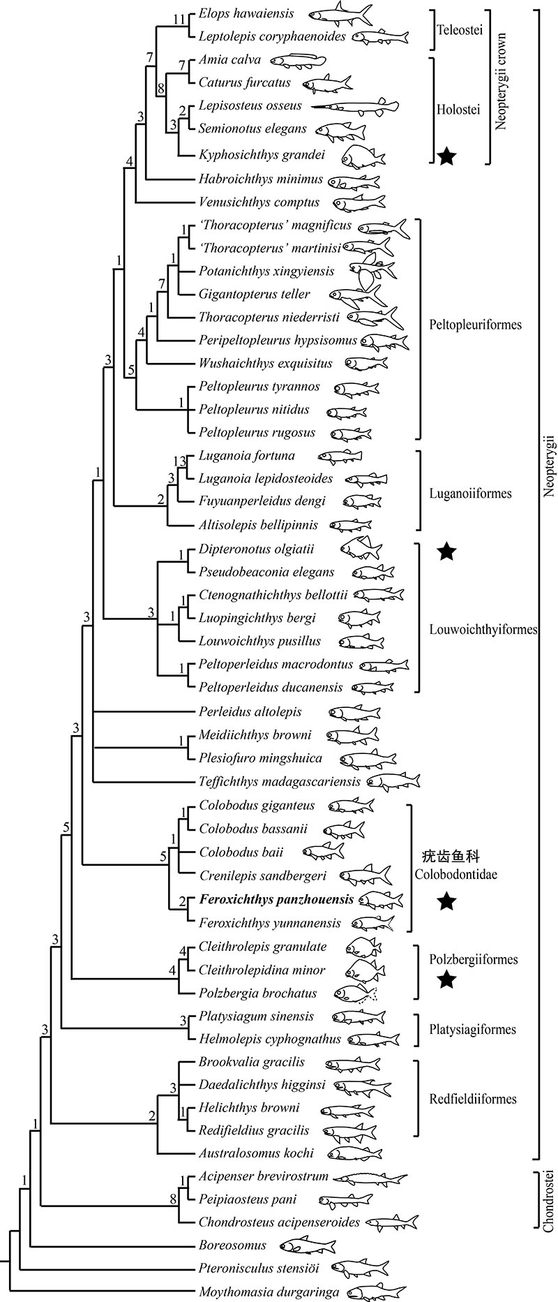 ���ؽ������������֧��ϵͼ����ʾ���ձ����͡������������е��Ĵ�ƽ���ݻ�