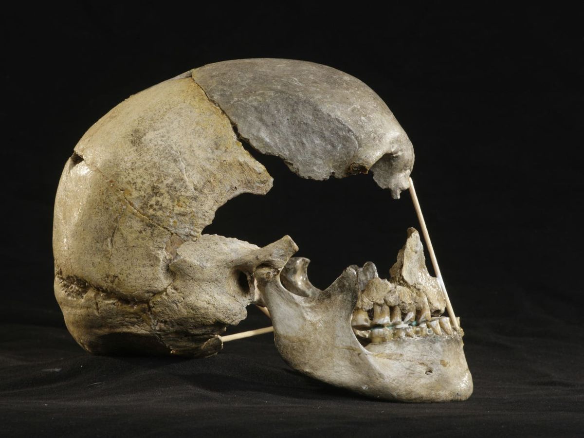 Ȼ̬־ִ˻ ȡԽݿԼ45000ǰͷ