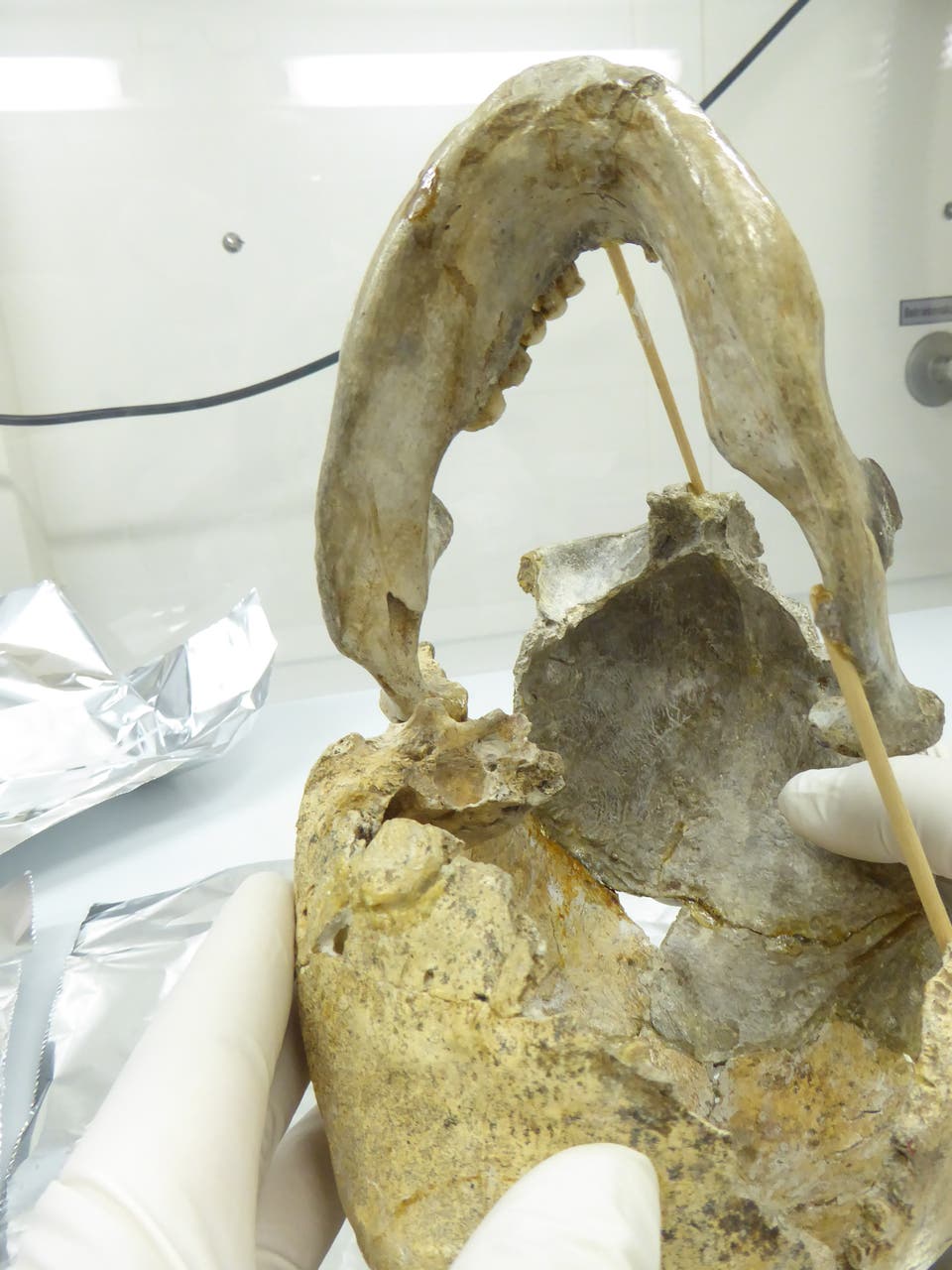 Ȼ̬־ִ˻ ȡԽݿԼ45000ǰͷ