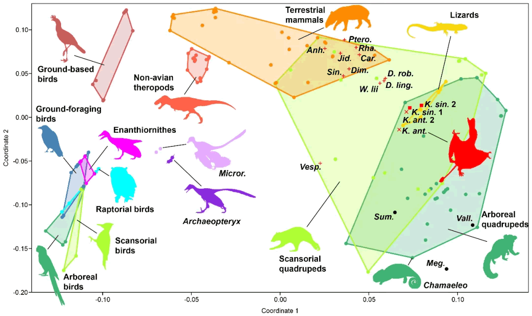 ����Ҳ�ᡰ�����֡�����������Ŷ��״��ڶ������������з���Ĵָ��������