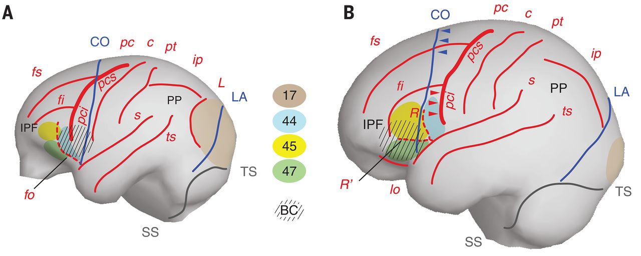 ��ʿ��������ѧ�о���ʾ��������Ĵ��Խṹ