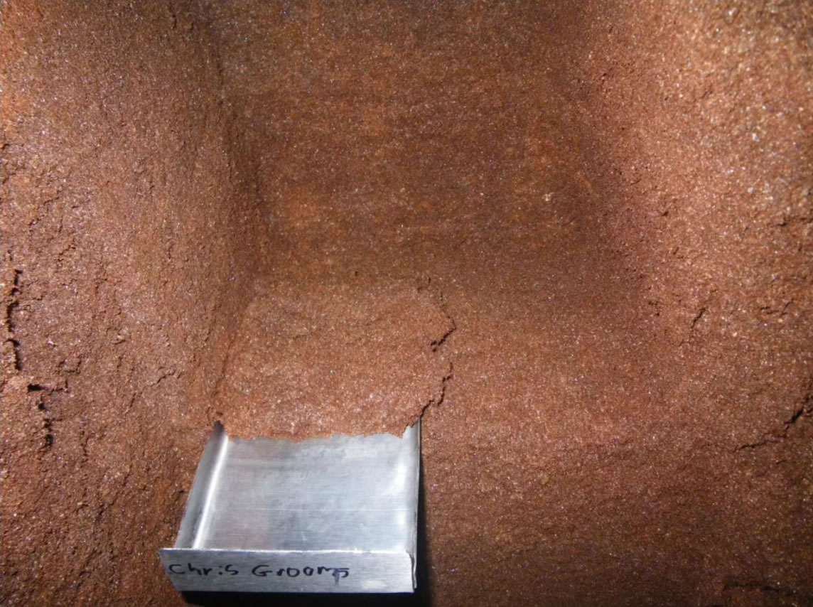 通过分析牙买加Home Away from Home洞穴蝙蝠粪便来确定过去4300年它们的饮食变化