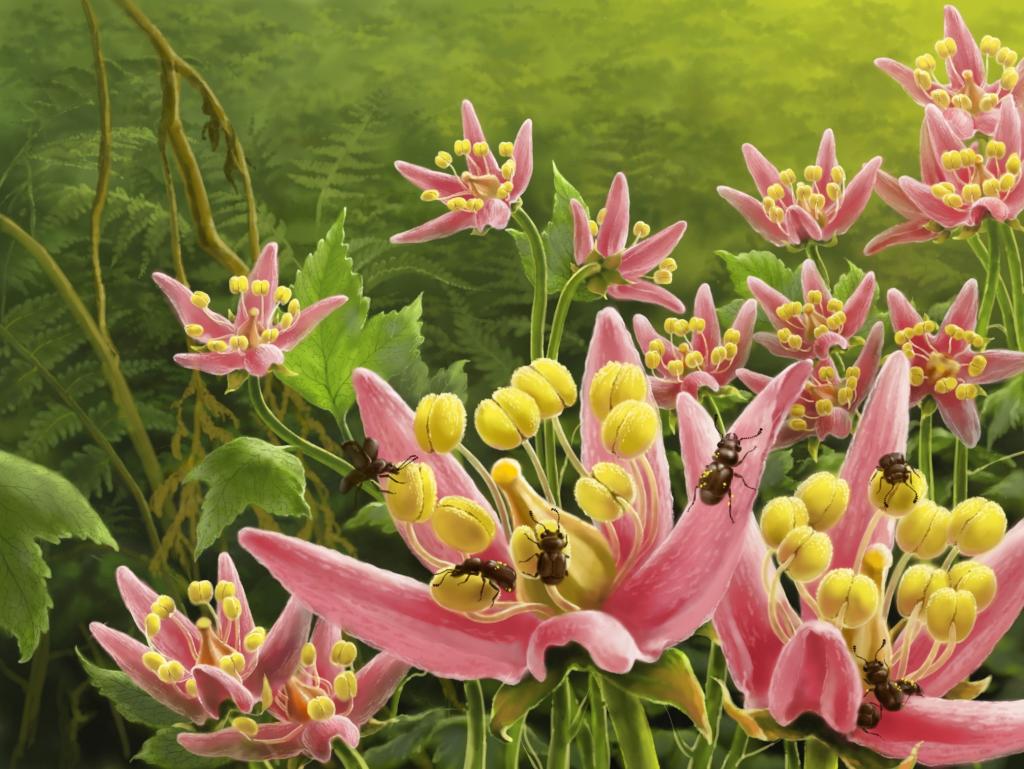 Ϊڸߵȱֲﴫ۵̬ԭͼйѧԺϾʹоݻơ