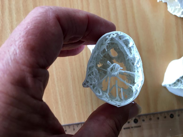 �޴�ķ��������÷�״��׵��֧�š��ȳ���¹�������Ĳ���