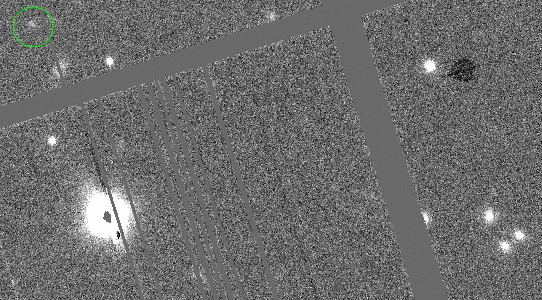 й֣̽͡Kamoalewa͡˹-ƤޡС ض˹