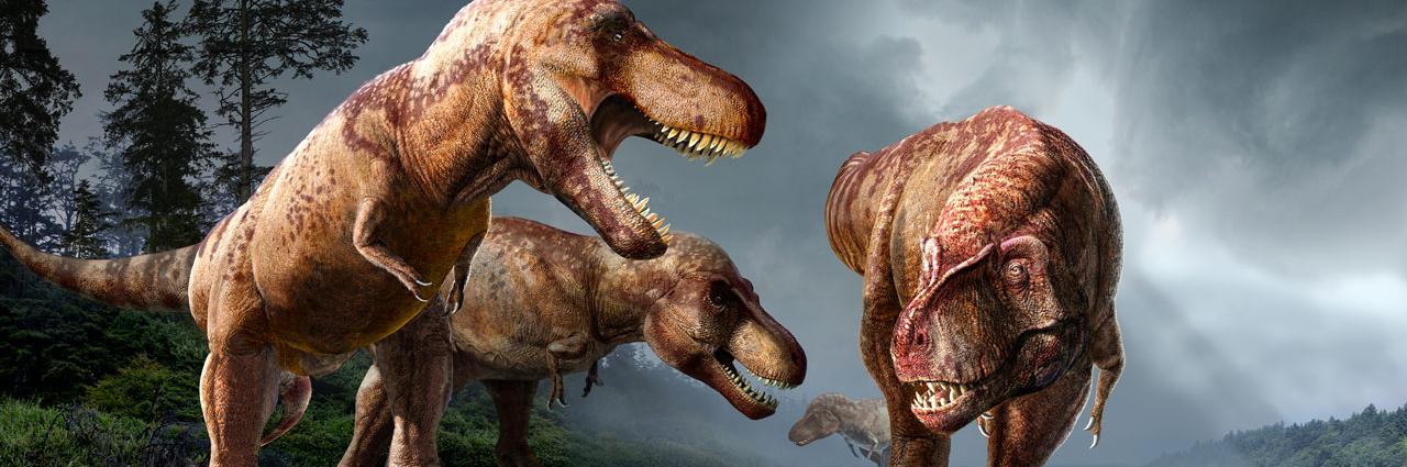 加州大学柏克莱分校最新研究指地球曾经出现过25亿只暴龙