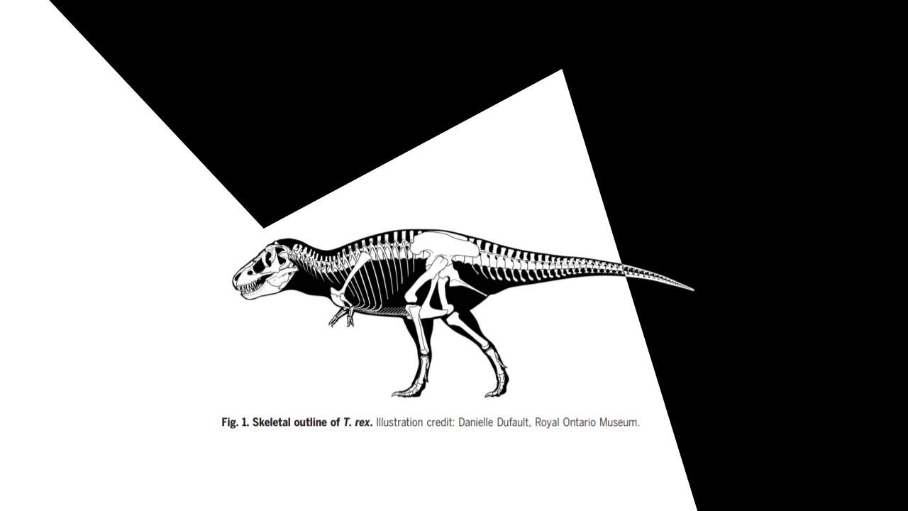 Ѽʱڵı޴Լÿ38.6ƽӢһֻ