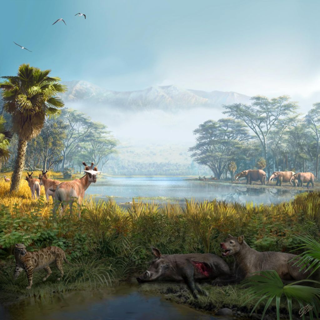 追溯2100万年 探索人类如何更好地保护生态系统