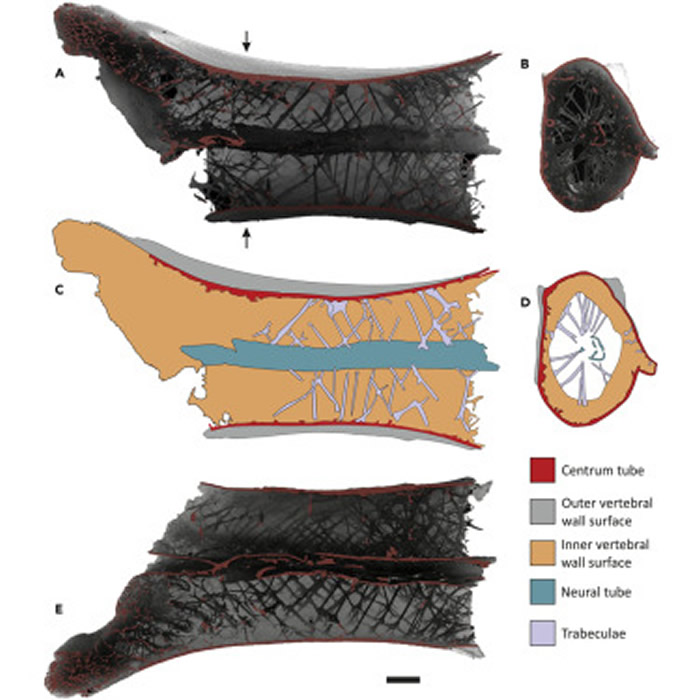 �����ȳ���¹�����Ĳ�����εõ�֧�ţ�