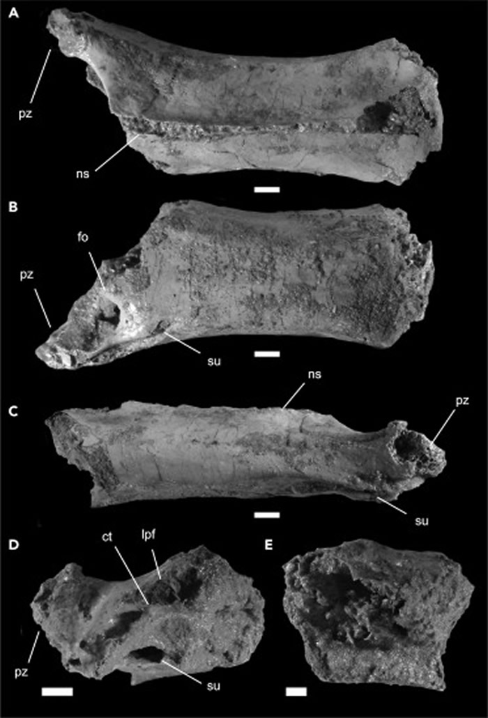 �����ȳ���¹�����Ĳ�����εõ�֧�ţ�