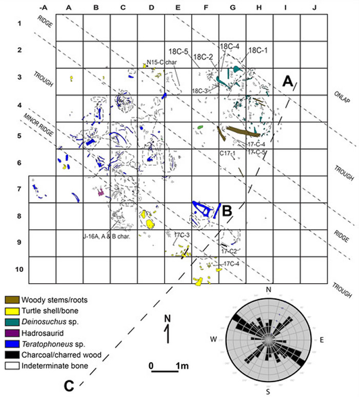 新研究表明霸王龙可能经常集体捕猎 并非独行侠