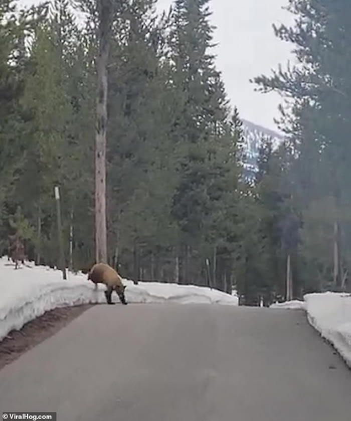 ���������ڻ������ݴ�ٶٹ��ҹ�԰�ܲ�ʱ������������ �侲������1��������