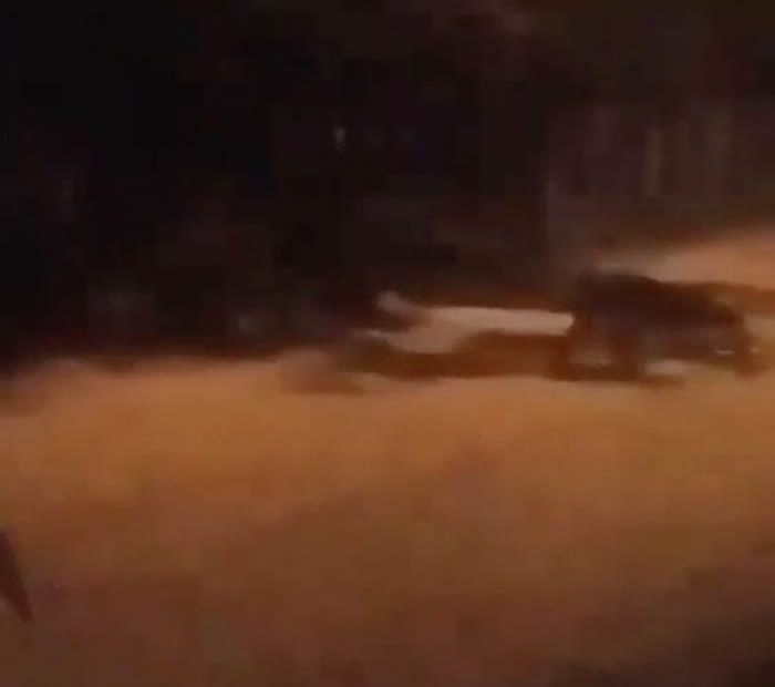 中美洲国家哥斯达黎加民居监控视频拍到神秘4腿怪在街上诡异爬行 附近狗狗狂吠