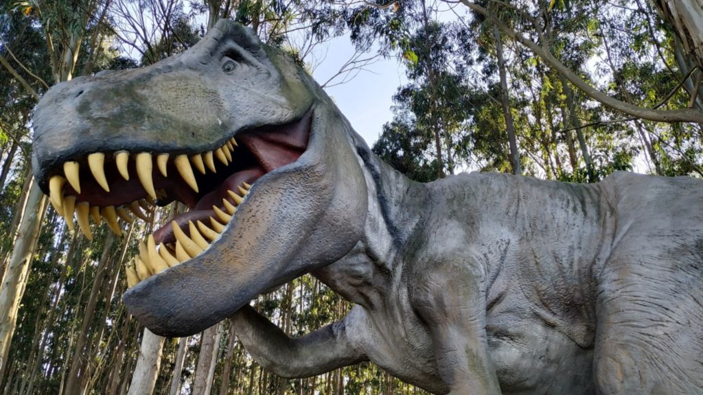 ݷֵĻʯʾȺӶ һȺӲ