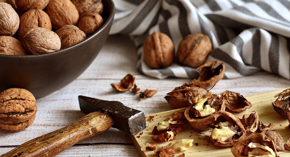 ӳഺʳƷҡ㡢͡ݮˡ̲衢Ҭ