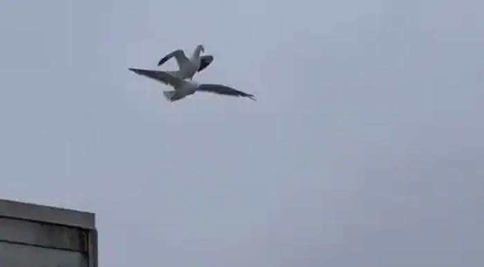 �����û�buitengebieden_����һ�Ρ���Ÿ�ﺣŸ��ӰƬ