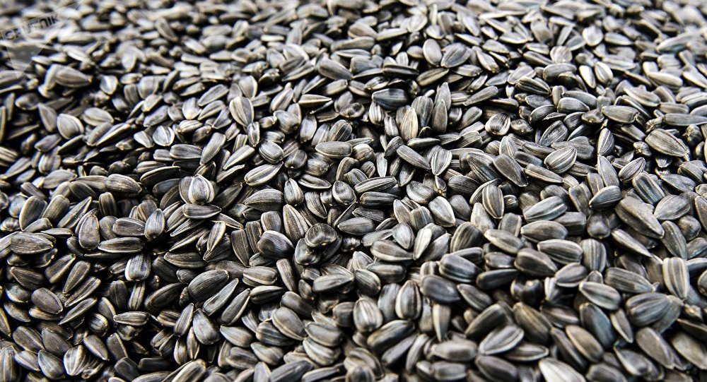 ˹ڷѧңѳΪ°ʵĸԴ Ŀ