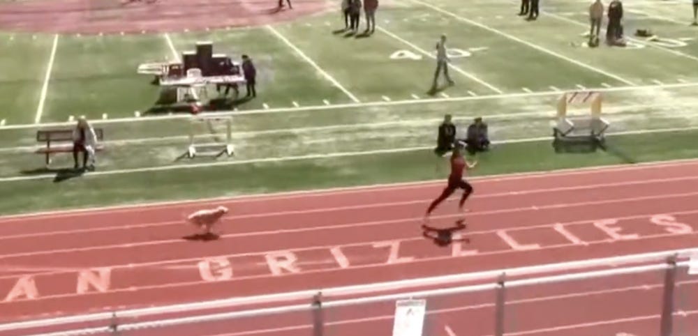 美国犹他州狗狗Holly乱入洛根高中运动会跑道率先冲刺