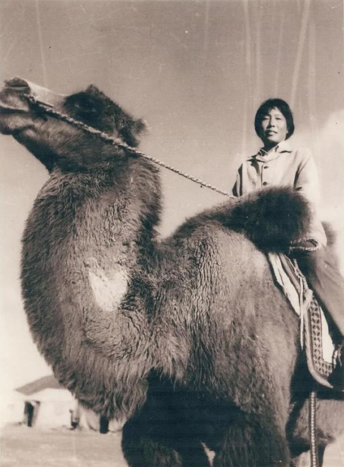 УʮഺдŮʹߵļҹ黳