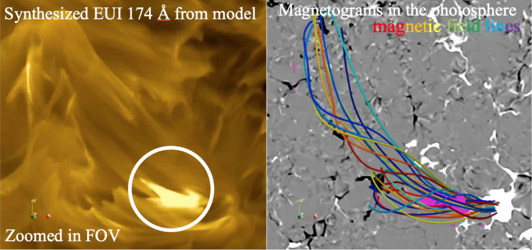 左图是模拟的日冕图像,圆圈指示了一个类似“篝火”的事件。右图背景是太阳表面的磁场,粉红色代表左图展示的“篝火”位置,不同颜色的曲线表示其附近的磁力线(Yajie